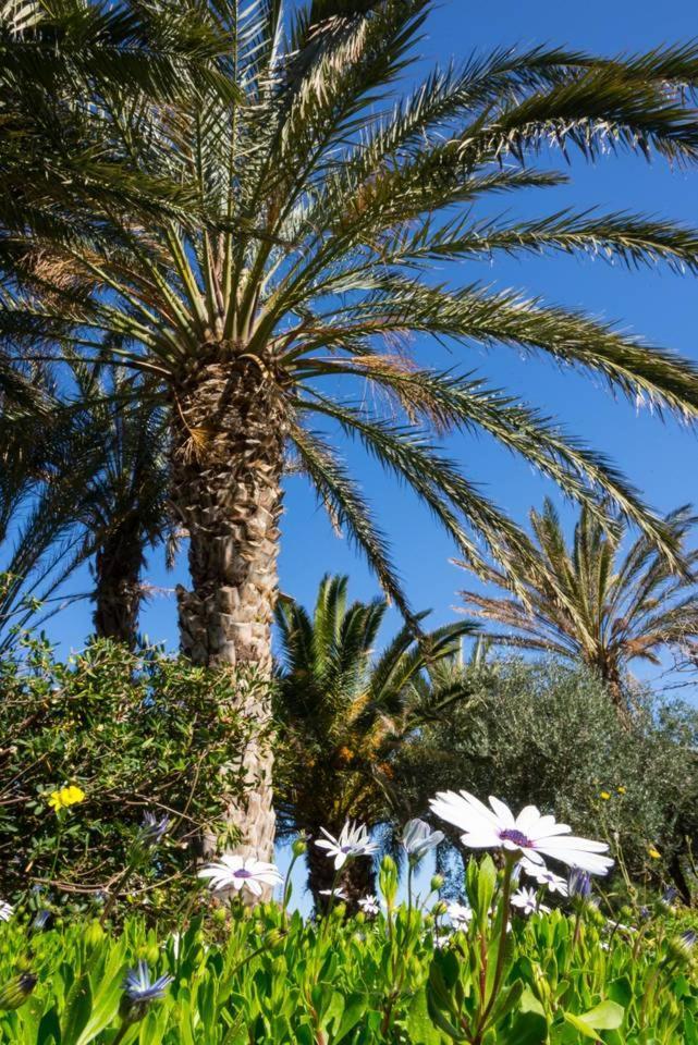 Authentic Cretan Stone Windmill Villa Sitia  Dış mekan fotoğraf