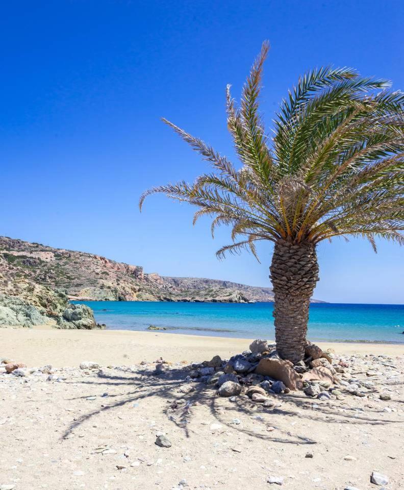 Authentic Cretan Stone Windmill Villa Sitia  Dış mekan fotoğraf