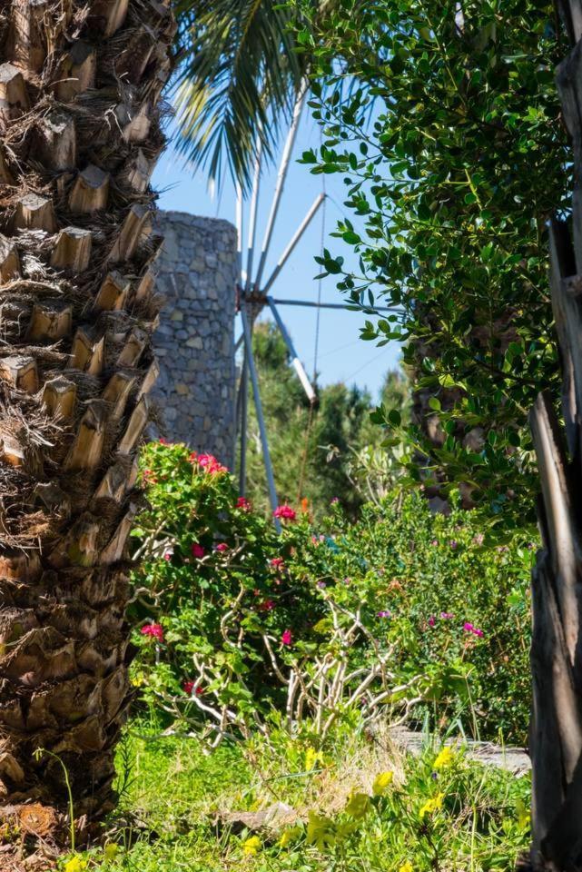 Authentic Cretan Stone Windmill Villa Sitia  Dış mekan fotoğraf