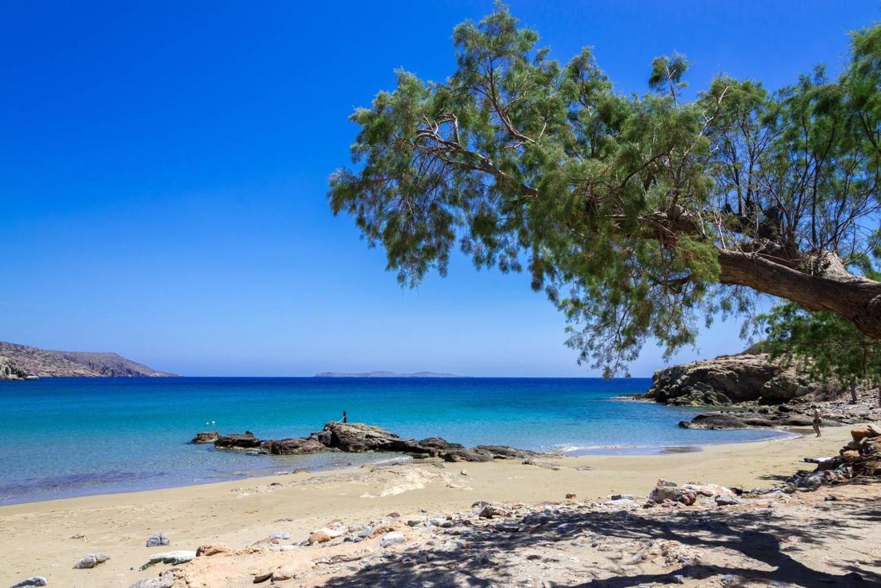 Authentic Cretan Stone Windmill Villa Sitia  Dış mekan fotoğraf